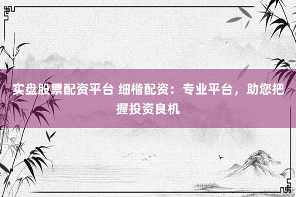 实盘股票配资平台 细楷配资：专业平台，助您把握投资良机