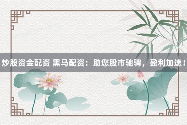 炒股资金配资 黑马配资：助您股市驰骋，盈利加速！