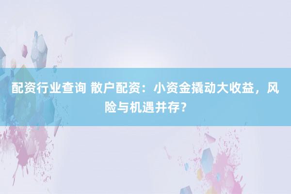 配资行业查询 散户配资：小资金撬动大收益，风险与机遇并存？