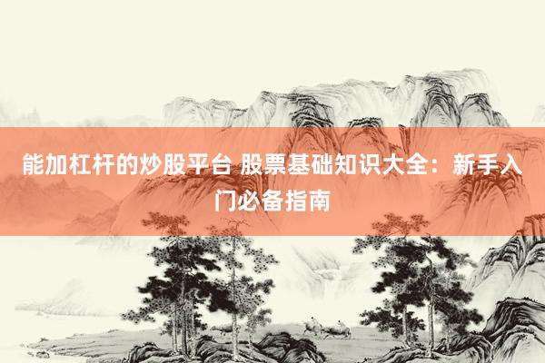 能加杠杆的炒股平台 股票基础知识大全：新手入门必备指南