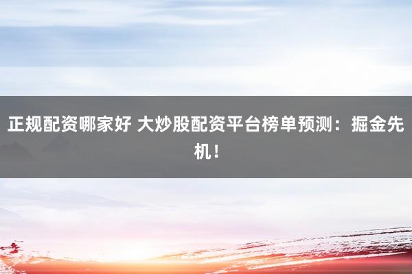 正规配资哪家好 大炒股配资平台榜单预测：掘金先机！