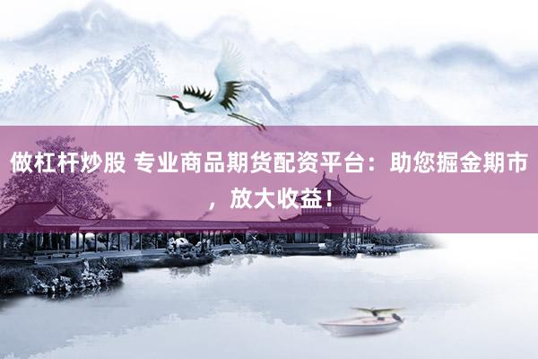 做杠杆炒股 专业商品期货配资平台：助您掘金期市，放大收益！