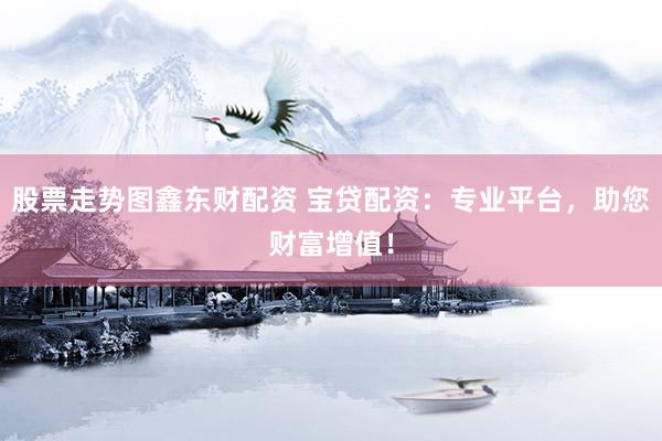 股票走势图鑫东财配资 宝贷配资：专业平台，助您财富增值！