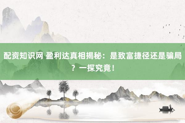配资知识网 盈利达真相揭秘:是致富捷径还是骗局?一探究竟!
