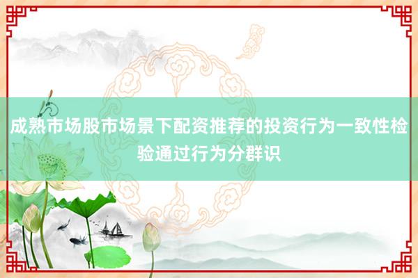 成熟市场股市场景下配资推荐的投资行为一致性检验通过行为分群识