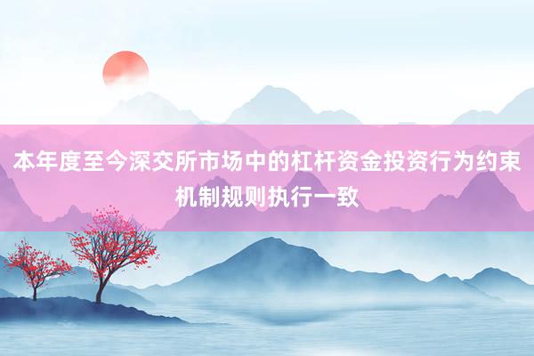 本年度至今深交所市场中的杠杆资金投资行为约束机制规则执行一致