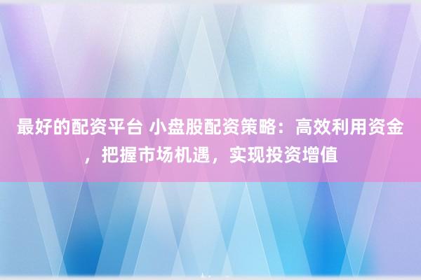 最好的配资平台 小盘股配资策略：高效利用资金，把握市场机遇，实现投资增值