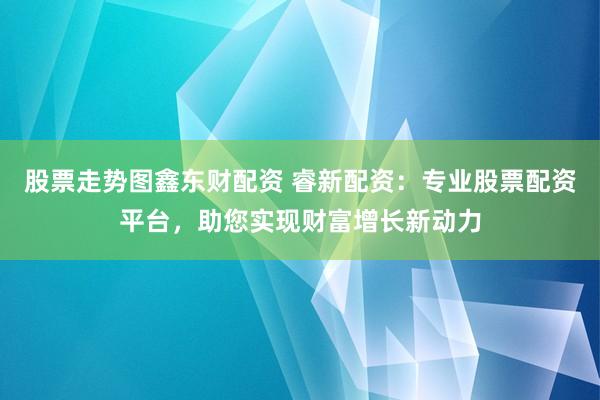 股票走势图鑫东财配资 睿新配资：专业股票配资平台，助您实现财富增长新动力