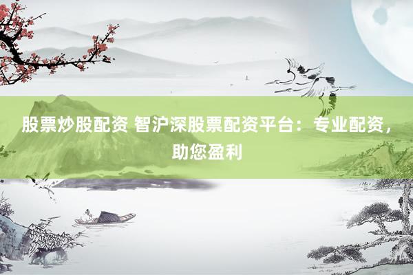股票炒股配资 智沪深股票配资平台：专业配资，助您盈利